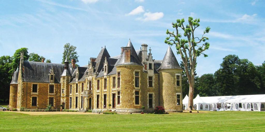 Chateau De Cheronne Bed & Breakfast Tuffé Екстериор снимка